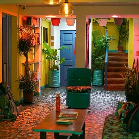 Nativus Art-Hostel ซานโฮเซ ภายนอก รูปภาพ