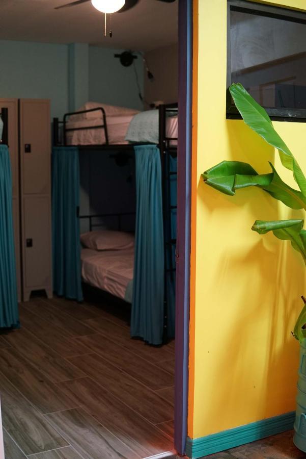 Nativus Art-Hostel ซานโฮเซ ภายนอก รูปภาพ