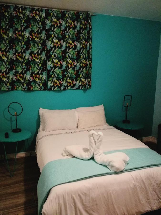 Nativus Art-Hostel ซานโฮเซ ภายนอก รูปภาพ